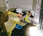 好房網／暴雨淹水...登革熱升溫　高雄新增2例