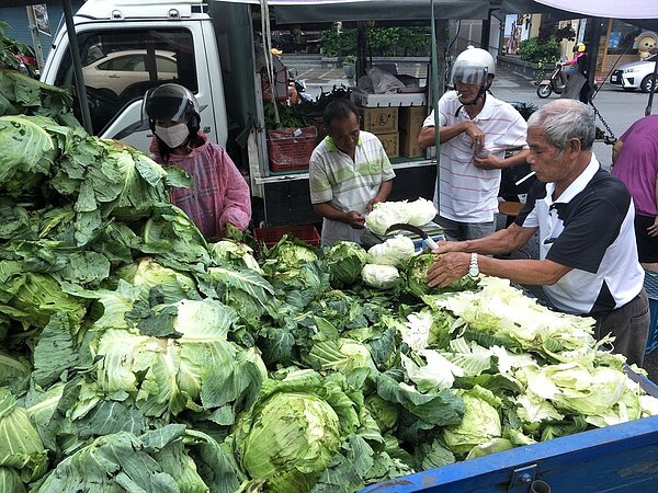 連日豪雨菜價飛漲,台東菜農載高麗菜到屏東恆春販售,開出每台斤40元特價,引發搶購。記者潘欣中/攝影