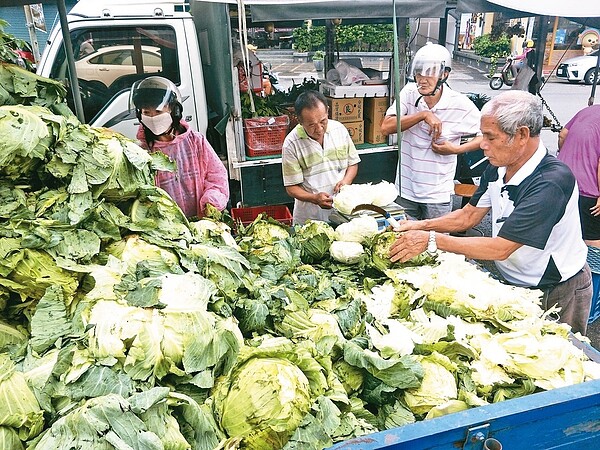 連日豪雨菜價飛漲,有台東菜農昨載高麗菜到屏東恆春販售,開出每台斤40元特價,引發搶購。 記者潘欣中/攝影