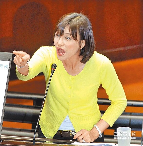 八八風災時,民進黨立委邱議瑩狠批行政院祕書長薛香川陪岳父吃飯,如今高雄水災慘重,她人竟在波蘭,臉書粉絲頁遭上千網友罵爆。(圖/中國時報資料照片)