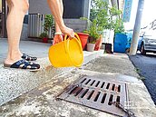 登革熱續發威　逾半數在台中