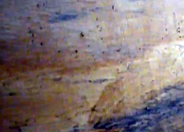 裝潢被蛀蟲鑽出一個洞一個洞的(翻攝Youtube)