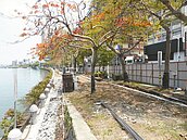 綠地變水泥地遭抗議　愛河工程暫停