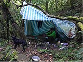 1包花生撐5天　山友與狗獲救