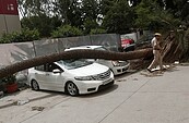 沙塵暴+雷雨　印度逾70死百傷