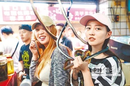 亞洲毒蛇研究所21日熄燈，第三代公主在場把玩假蛇。（鄧博仁攝）