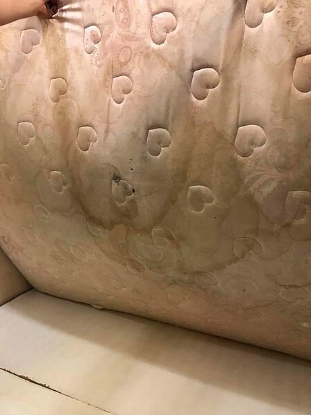 惡房東(臉書爆怨公社)