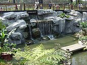 竹市動物園櫻花綻放　春節天天開園