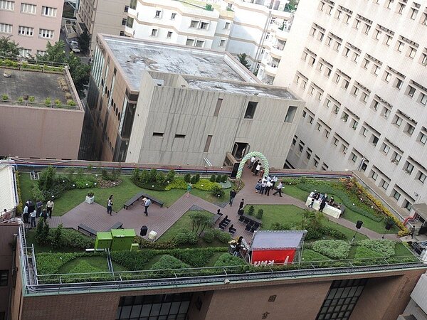 每年夏天越來越熱,屋頂綠化可減少受熱。圖/高雄市工務局提供