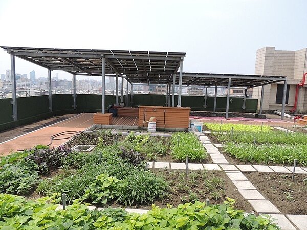 每年夏天越來越熱,屋頂綠化可減少受熱。圖/高雄市工務局提供