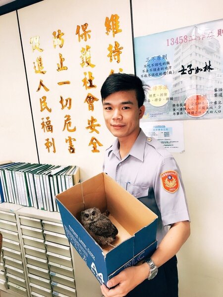 警方看到貓頭鷹又愛又憐，希望牠能早日康復。照／警方提供
