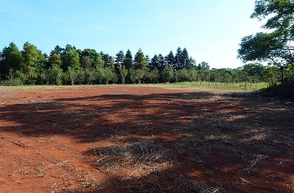 桃花園造林計畫中壢山嶺段工區，去年8月動工後就延宕迄今，市議員魯明哲質疑市府效率不佳。圖／市府提供
