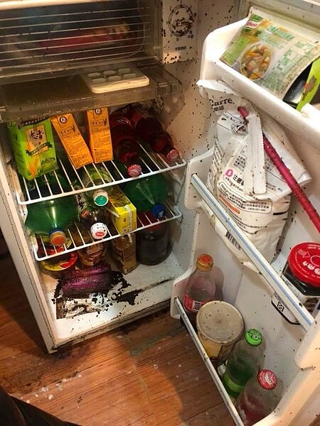 房客疑虐動物留屎尿 房東氣公佈身分《爆料公社》