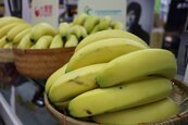 蕉價低落　農產公司：農民盲目不能光怪政府
