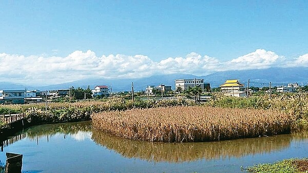 宜蘭縣壯圍後埤社區的浮島水池，前身是廢棄魚塭。 記者張芮瑜／攝影