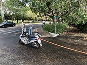 中興新村機車一天7摔　竟是路樹造成