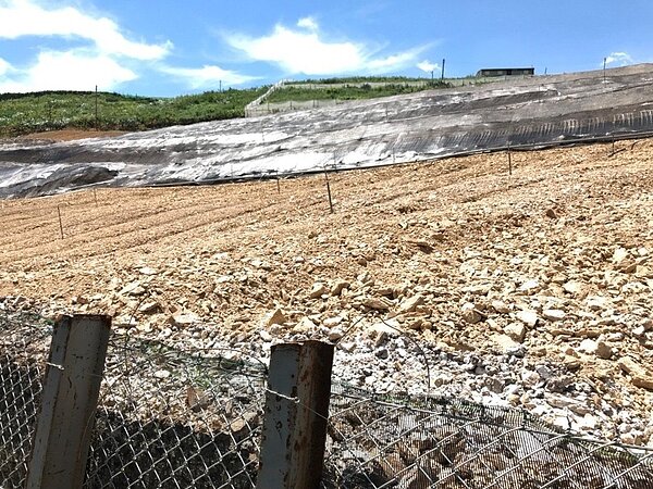 大梨山地區不少砍果樹改種菜,梨山四季譜出果樹組曲,民眾擔心風情不再。 圖/台中市水利局提供
