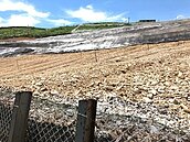 造林政策搖擺　農地使用糾紛多