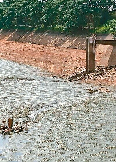 梅雨遲遲不來，桃園市大園、觀音、新屋沿海地區農田缺水嚴重，水利池灌渠見底。 記者曾增勳／攝影
