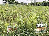 已成負資產　日本土地沒人要