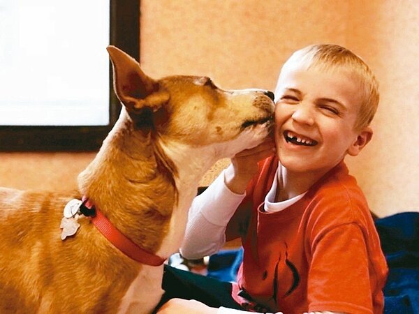 6歲的羅曼已經協助超過1000隻流浪狗找到新家。 翻攝Project Freedom Ride臉書