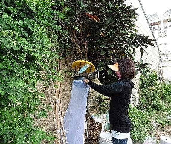 嘉義縣朴子市10日又發生一例日本腦炎70歲阿嬤個案，衛生局派稽查人員針對個案活動地周邊進行捕蚊燈懸掛防治措施。圖／衛生局提供