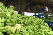 香蕉的價格到底是誰決定的？業者這麼說