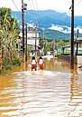 豪雨炸南台農作、家園泡湯　佳冬人嘆麻痺了