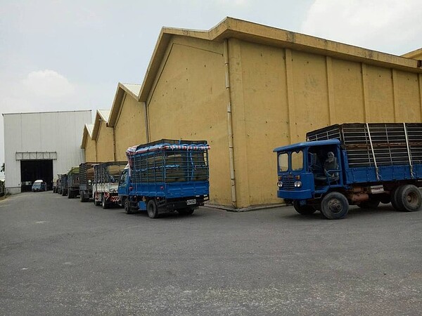 溪州鄉是彰化縣一期稻最早收割的地區,農會稻穀烘乾中心門口從早到晚都是運稻穀車大排長龍。記者何烱榮/攝影