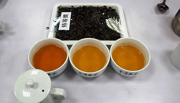 新竹縣東方美人茶評鑑是茶界年度盛事。圖/報系資料照