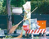 北市4.7萬隻犬貓未絕育　飼主當心挨罰