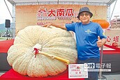 925斤南瓜王創紀錄！　師父教得好種出「霸王瓜」