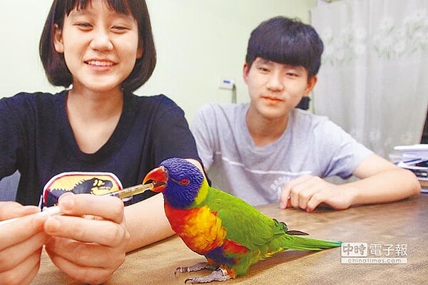 「貝多芬」陪伴賴楷淅(左)、賴駿羿(右)習樂多年。(陳淑芬攝)