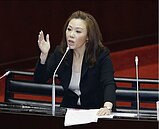 財團法人可被政府買回？　藍委力阻憂政治力入侵