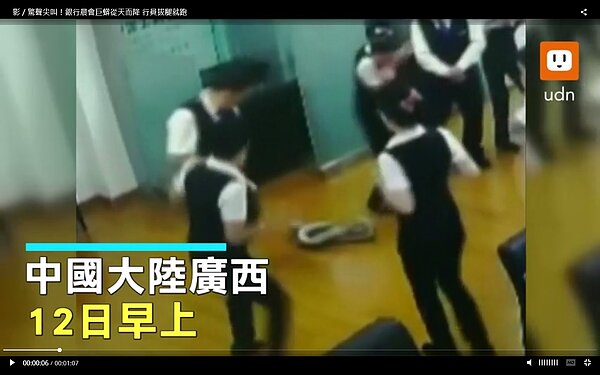 中國大陸廣西一間銀行,12日例行晨會期間,突然從天花板上掉落一隻2公尺長蟒蛇,嚇得員工四處竄逃;這隻蟒蛇最後安全被動保處給抓回並轉交給野生保育單位;據悉,這已是這間銀行連續第2年有蟒蛇來訪。圖片擷取聯合新聞網影片
