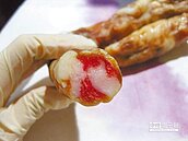 帶疫區肉品入境　一律罰1.5萬