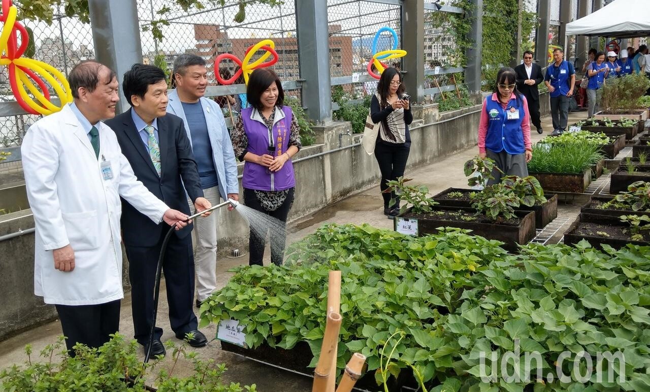 中國附醫在總院長周德陽（左一）領導下建置屋頂農園，節能減碳。記者趙容萱／攝影