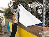 違規競選廣告多　環保局強力清除