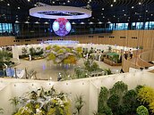 「蘭花王國」不再？蘭界人士：因為我們不合作