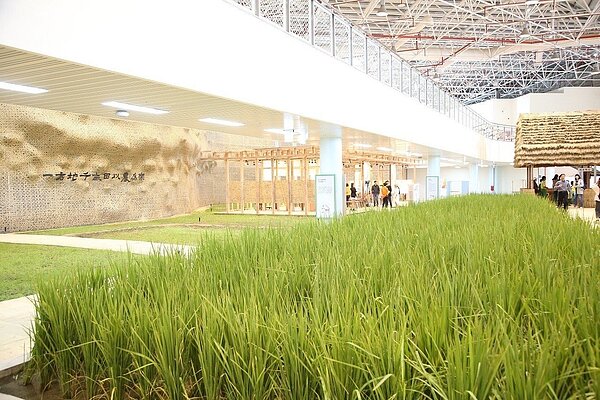 樂農館打破以往展覽隔間和框架,全區覆土讓農作物可以在館內生長。圖/台中市政府提供