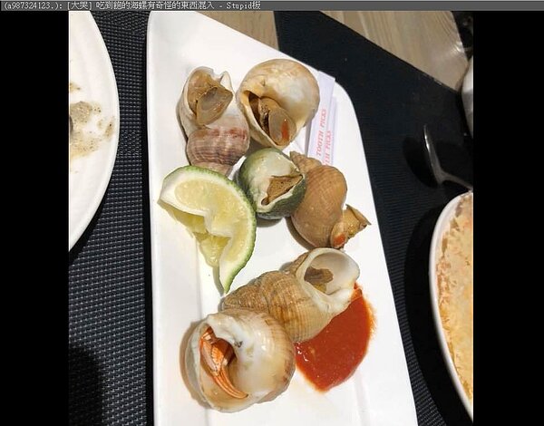 寄居蟹藏身海螺殼慘淪盤中飧。圖/PPT笨板