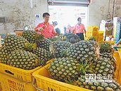 水果外銷成長　農會打臉假消息