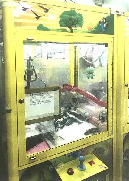 夾娃娃機店競爭激烈,為吸引顧客上門試手氣,各出奇招,新北警方日前會同市府經發局人員上門查緝,發現夾娃娃機台竟放置高價活體小龍蝦及大閘蟹供人夾取,認為具有「射倖性」,訊後將機台主馮姓男子送辦。記者王長鼎/翻攝