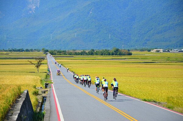 台東 伯朗大道(台東縣政府)