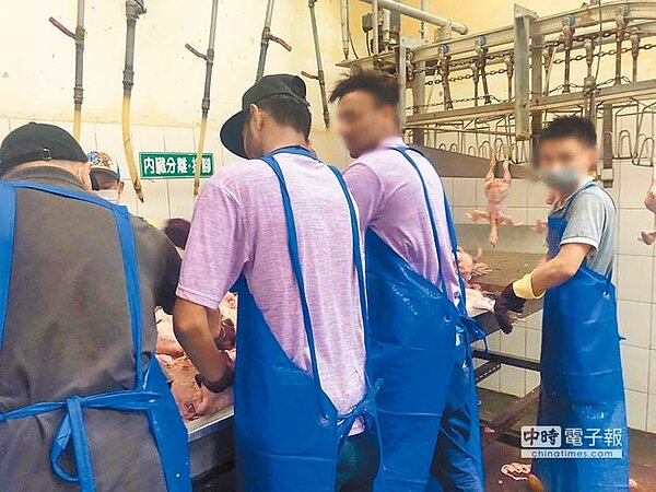 在康寧大學就讀的斯里蘭卡學生，一度被送到屠宰場打黑工。（全國私立學校產業工會提供）
