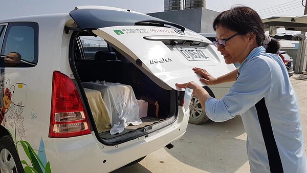 台北市立動物園收容1對苗栗石虎。記者黃瑞典/攝影