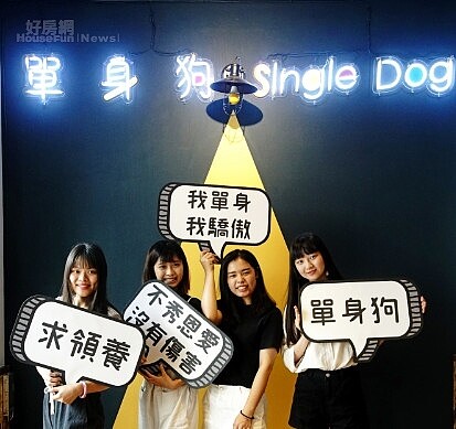 single dog 單身狗