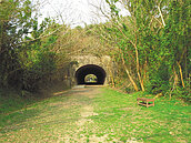 崎頂隧道沒公廁　民眾隨地尿