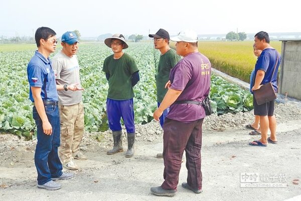 雲林縣議員李明哲（左）到二崙鄉一處高麗菜園關切高麗菜價，路過農民紛紛加入抱怨行列。（周麗蘭攝）

