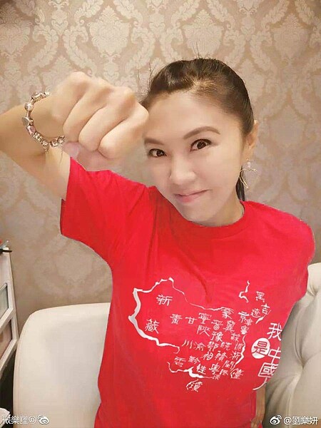 劉樂妍表態挺韓國瑜。圖/摘自臉書